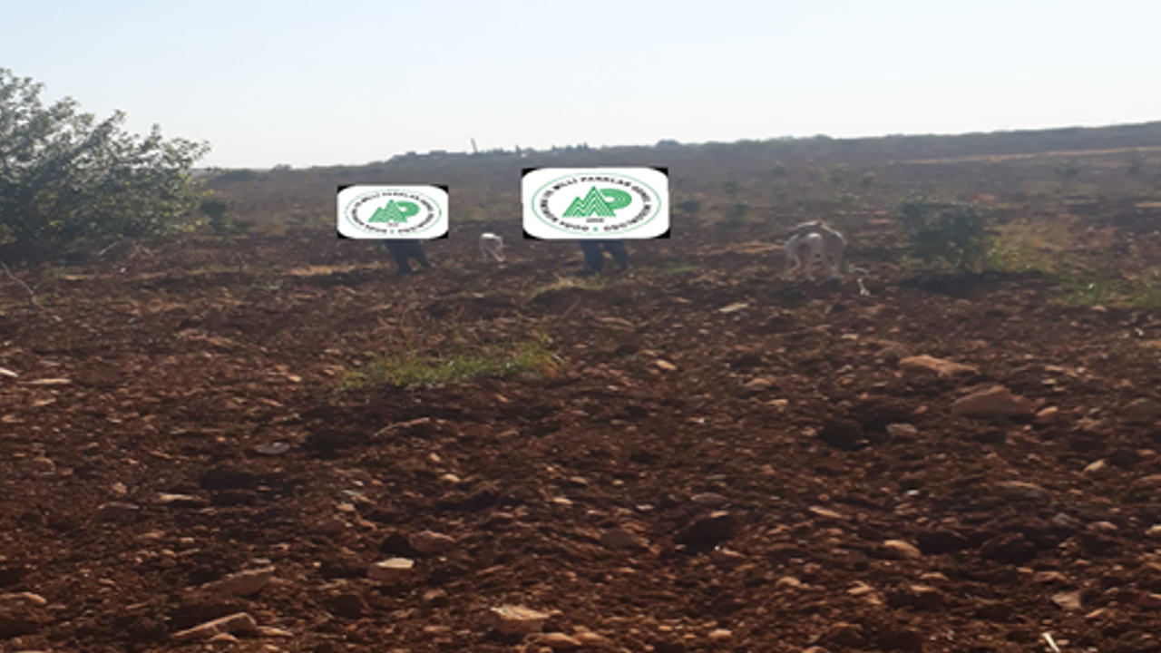 Şanlıurfa'da  2 kaçak avcı yakalandı