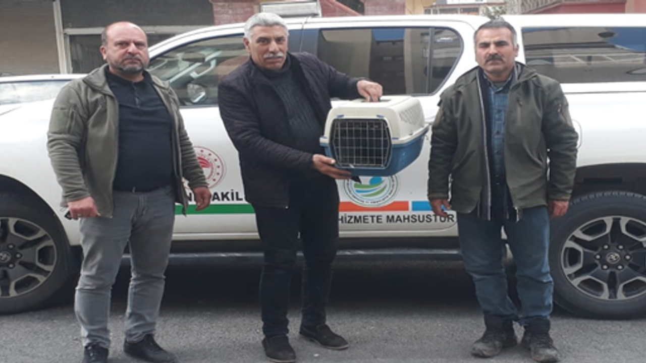 Şanlıurfa'da vatandaşlar buldu! Tedavi altına alındı