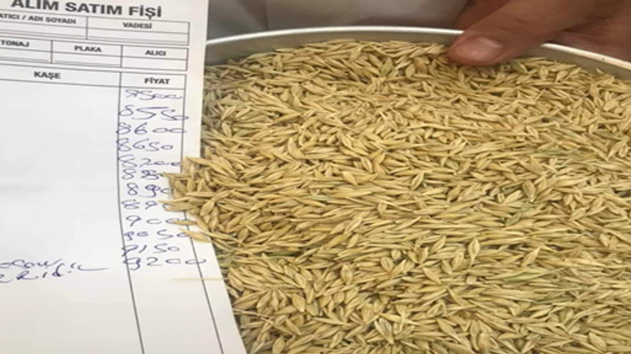 Şanlıurfa’da yılın ilk arpa hasadı satıldı