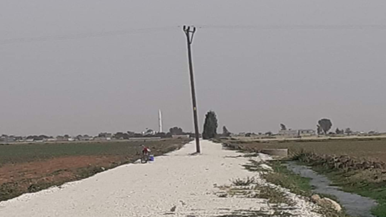 Yolun ortasında görenler şaşkına döndü