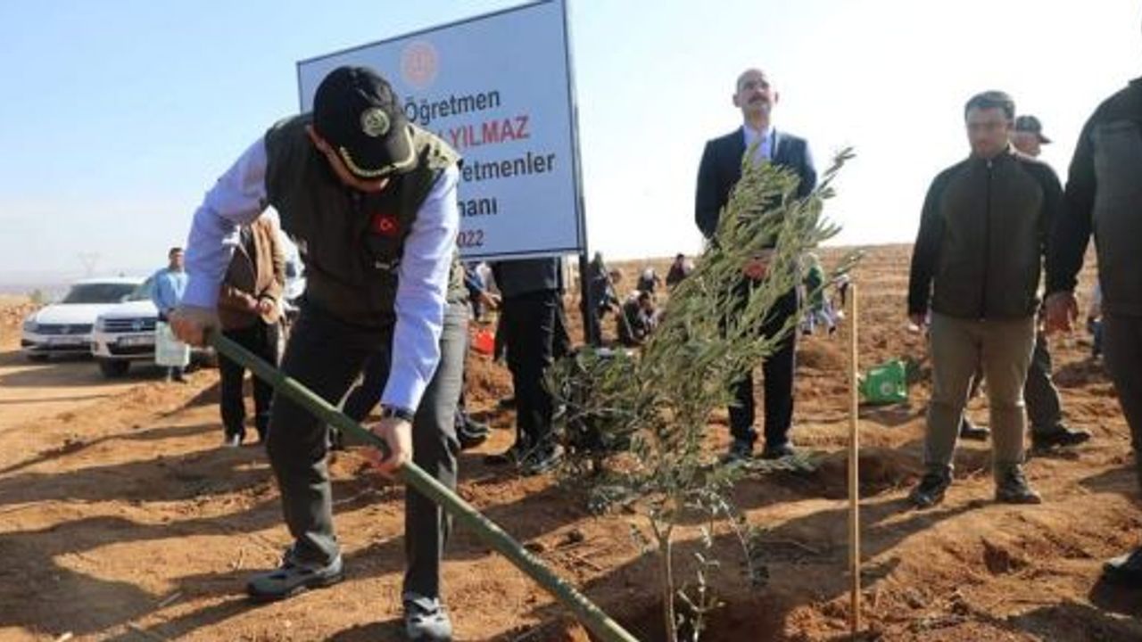 Şanlıurfa'da şehit öğretmenler için ağaç dikimi yapıldı