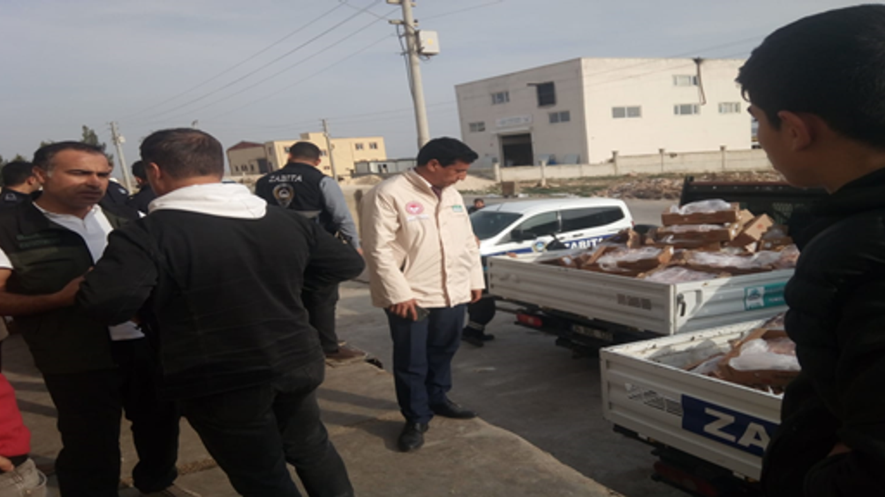 Eyyübiye’de 6 ton kokuşmuş ve tarihi geçmiş tavuk ve ciğer imha edildi