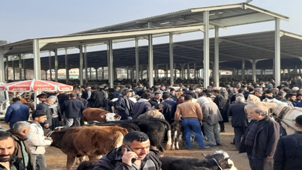 Urfa’da hafta bir gün bir başka