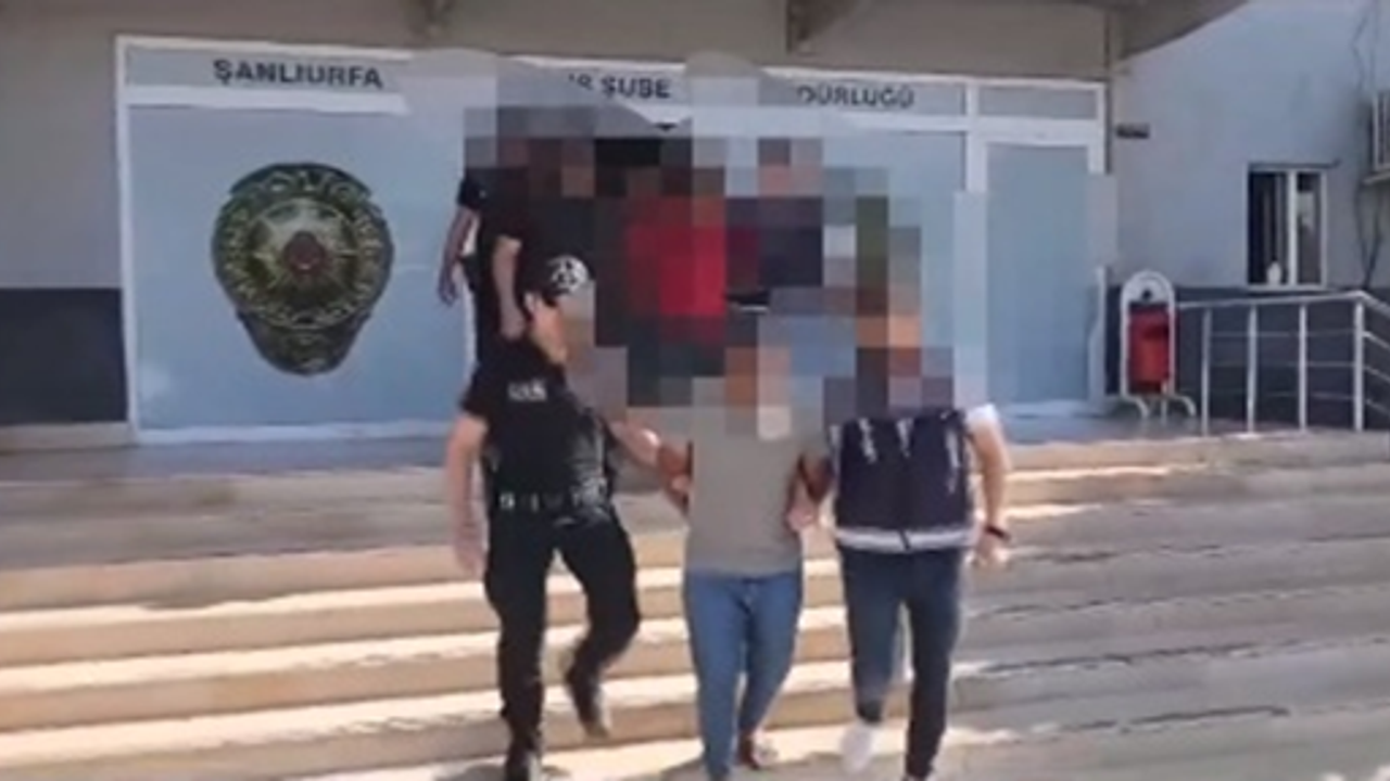 Şanlıurfa’da aranan şahıslara büyük operasyon, 87 gözaltı