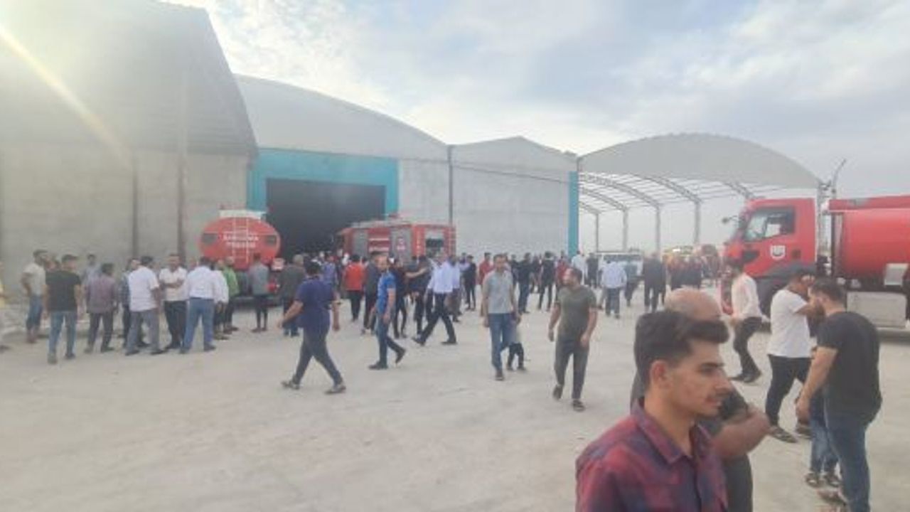 Şanlıurfa'da tonlarca pamuk kül oldu