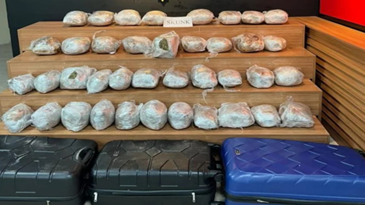Şanlıurfa’da 43 kilo skunk maddesi ele geçirildi!
