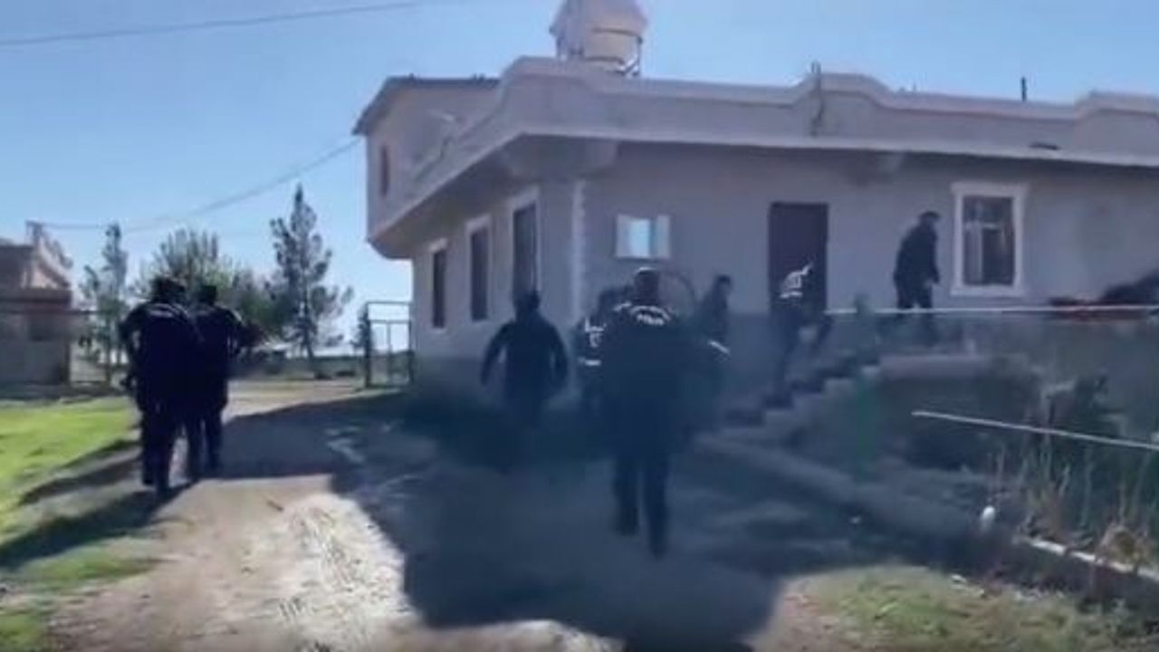 Akçakale'de dolandırıcılık operasyonu, 12 Gözaltı