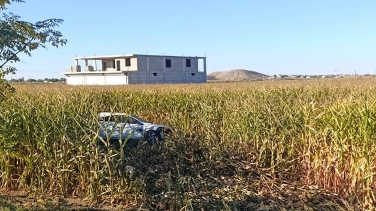 Akçakale’de Otomobil Mısır Tarlasın Uçtu