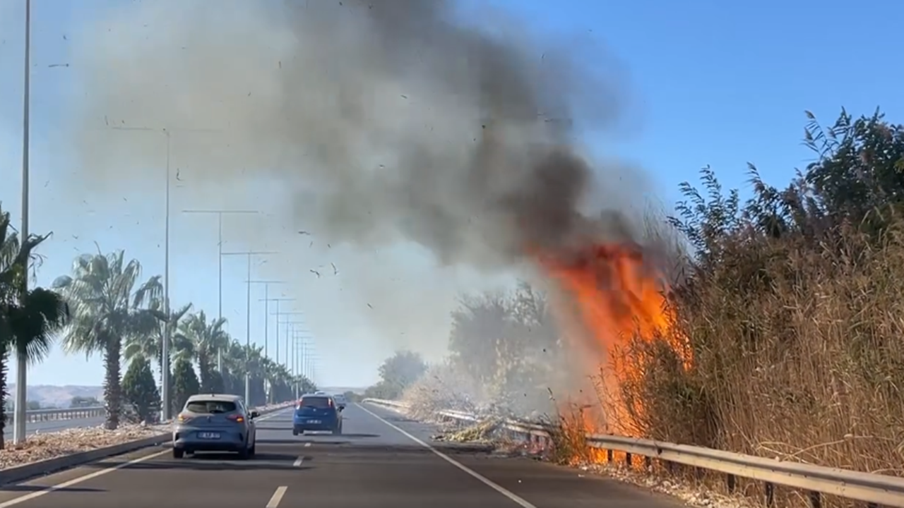 Alevler Metrelerce Yükseldi: Şanlıurfa-Mardin Karayolunda Sürücüler Panik İçinde!