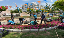 Eyyübiye'da Çiçekler açıyor