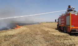 Harran ovasına her yıl aynı manzara yaşanmasın!