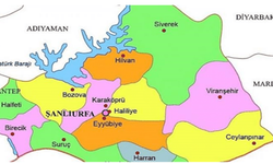 Şanlıurfa ve ilçelerinde seçim sonuçları!