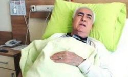 Şanlıurfalı ünlü sanatçı Nuri Sesigüzel hayatını kaybetti