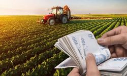 Tarımsal desteklemede ödemeler bugün hesaplara yatacak