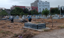 Viranşehir Belediyesi’nden Mezarlıklarda Genel Temizlik Çalışması