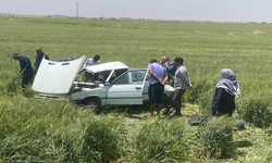 Viranşehir’de çaldıkları araç kaza yapınca kaçtılar