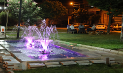 Eyyübiye Parklarında Görsel Şölen