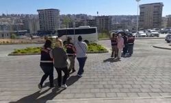 Şanlıurfa’da yeşil reçete operasyonunda 6 tutuklama