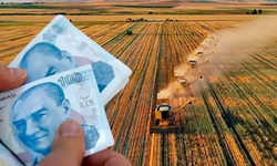 Tarımsal destek ödemeleri hesaplara geçiyor