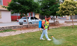 Viranşehir Genelindeki Parklarda İlaçlama Çalışması Sürüyor