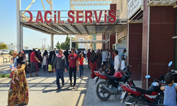 Akçakale'de taşlı, sopalı, silahlı kavga, 9 yaralı