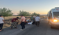 Viranşehir'de trafik kazası, 3 yaralı