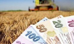 Tarımsal destek ödemesi bugün yapılacak