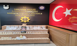 Urfa'da kökünü kurutma operasyonu, 1 gözaltı