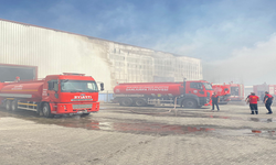 Urfa'da fabrika yangını!