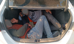 Şanlıurfa’da 15 organizatör tutuklandı