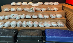 Şanlıurfa’da 43 kilo skunk maddesi ele geçirildi!