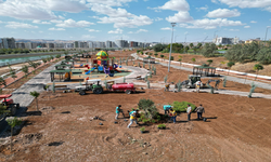 SUKAY Tıbbi Aromatik Parkı Şanlıurfa’ya çok yakışacak