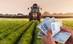 Tarımsal destek ödemeleri hesaplara yatırılıyor