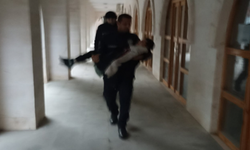 Viranşehir’de soğuktan donmak üzereydi: Zabıta ekipleri imdadına yetişti