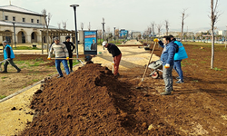 Eyyübiye Millet Bahçesi Güneşli Günlere Hazırlanıyor