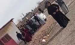 Harran'da muhtarlık kavgası, 1 ölü 2 yaralı