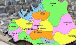 Şanlıurfa ilçe ilçe seçim rakamları