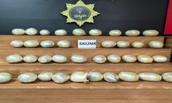 Şanlıurfa’da bir haftalık uyuşturucu operasyonu,  15 tutuklama