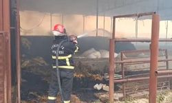 Eyyübiye'de çiftlik yangını
