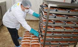 Haliliye Belediyesi, Günlük Glutensiz Ekmek Üretimini Sürdürüyor