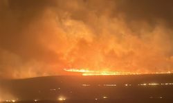 Şanlıurfa'nın iki komşu ilinde anız yangını, 5 ölü ,44 yaralı