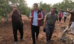 Şanlıurfalılar dikkat, Kene ısırmalarına karşı önemli uyarı geldi