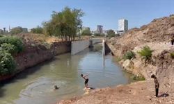 Şanlıurfa’nın kavurucu sıcağında çocuklar atık sularda serinliyor