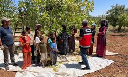 Şanlıurfa’da ziraat mühendisleri fıstık bahçesinde