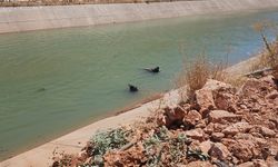 Harran’da sulama kanalında ceset bulundu