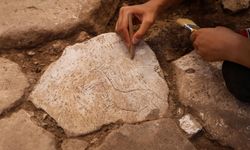 Şanlıurfa Karahantepe’de yaban eşeği figürü ortaya çıkarıldı