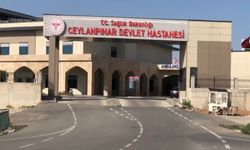 Ceylanpınar’da silahlı saldırıya uğrayan kişi öldü