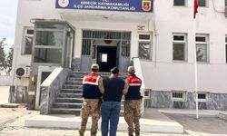 Şanlıurfa’nın üç ilçesinde operasyon, 3 cinayet şüpheli yakalandı