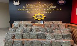 Şanlıurfa'da 20 kilo Skunk ele geçirildi