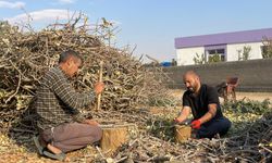 Şanlıurfa kırsalında kış hazırlığı başladı